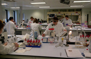Students at work in laboratory