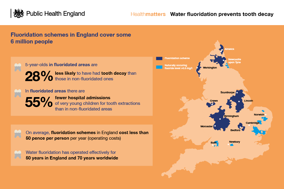 Infographic describing how water fluoridation can prevent tooth decay