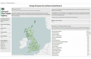 Sheep disease surveillance dashboard