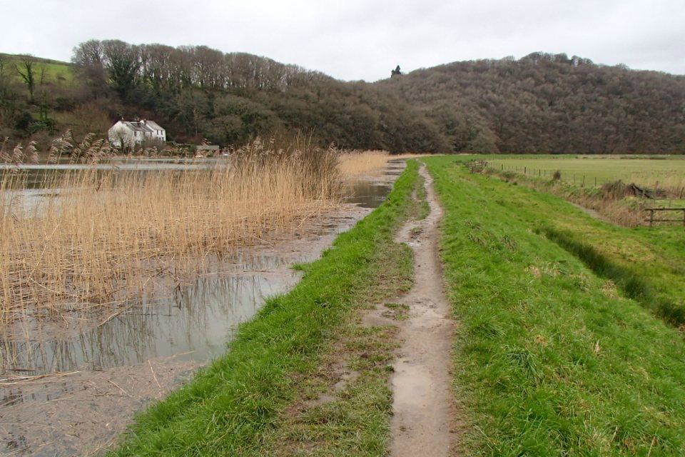 The footpath running along the top of the flood bank next to the River Tamar at Calstock, Cornwall