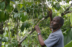 Ethiopian coffee farmer. Picture: Pete Lewis/DFID