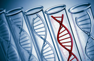 DNA helix in tubes