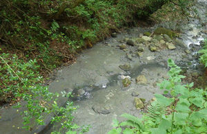 Pollution in a watercourse