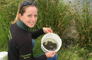 On the move: Environment Agency monitoring officer Emma Holden helps transfer native crayfish to a protected Ark Site in Lincolnshire, safe from the threat of invasive Signals.