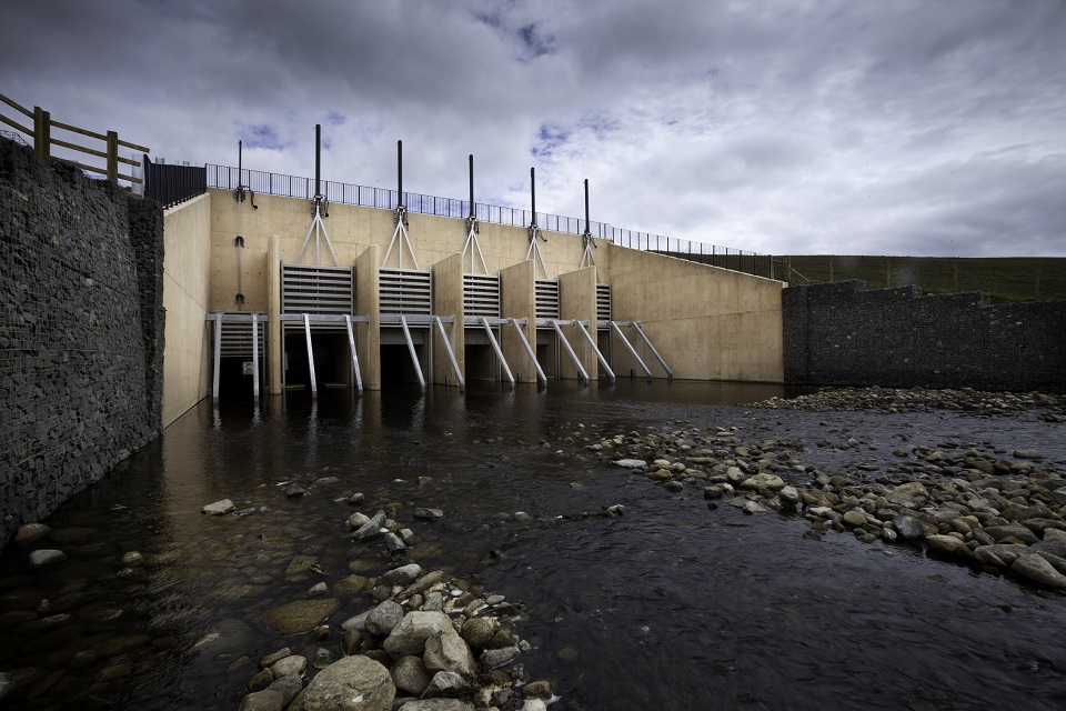 Image shows Mitford dam