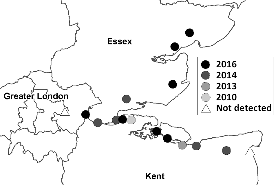 Map showing known locations of Culex modestus mosquitoes in south-east England