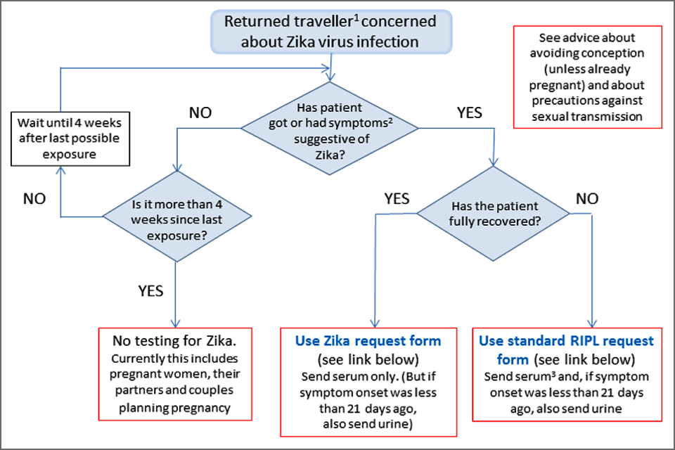 Zika testing algorithm