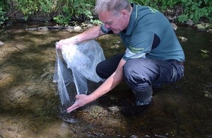 Image shows Paul Frear releasing grayling