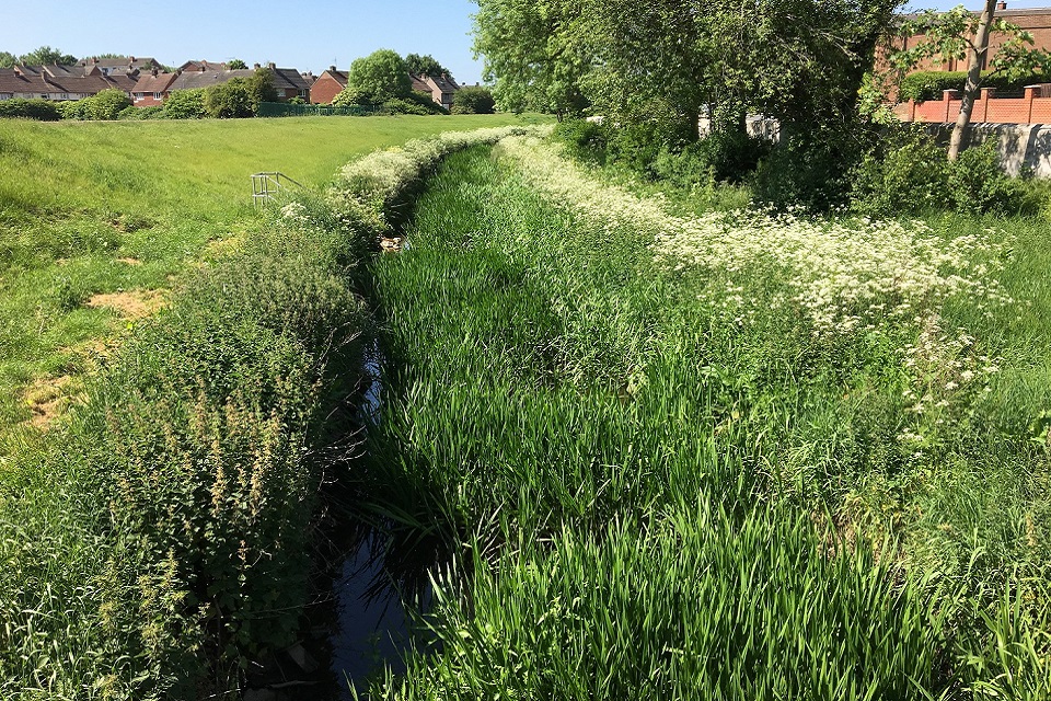 Images shows Lustrum Beck flood scheme 