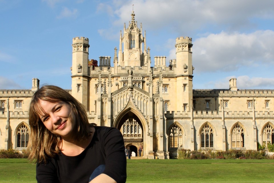 Announcement For 2018 19 Chevening Ocis Fellowship Programme Gov Uk