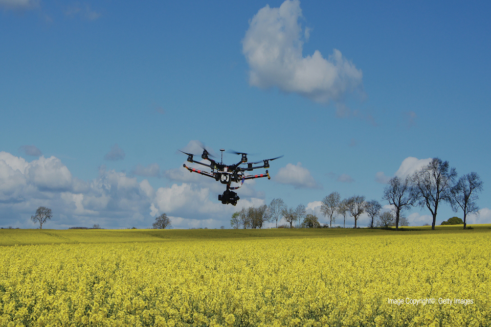 UK brings largest ever agri-tech delegation to Agritex 2017 - GOV.UK