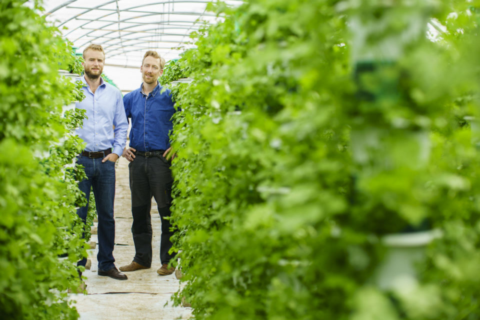 Saturn Bioponics founder Alex Fisher and R&D manager, Arnoud Witteveen, surrounded by crops