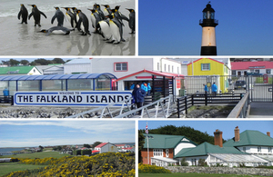 The Falkland Islands