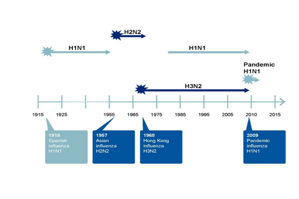 Figure 8. Change to a chart of excess deaths from flu and the timeline