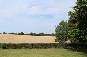 Photograph of a field after cutting