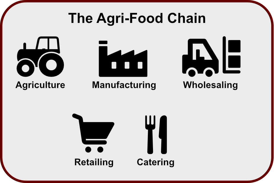 The Agri-food chain