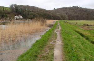 Picture of the River Tamar level with the top of an embankment next to a green field