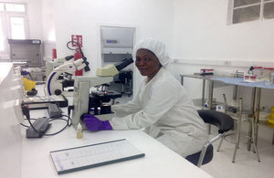 The refurbished diagnostic laboratory at Connaught hospital in Freetown.