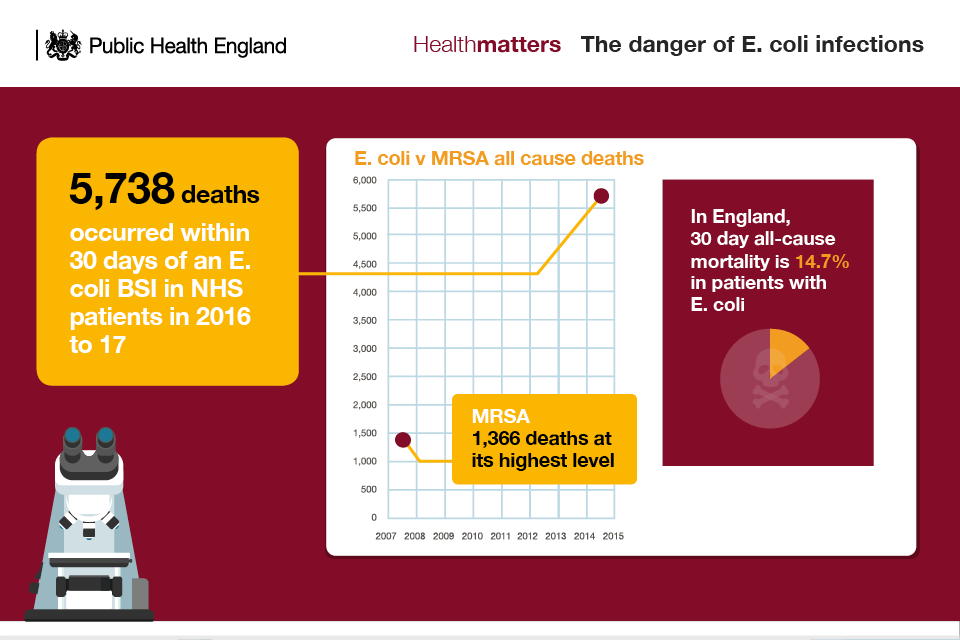 Infographic showing the dangers of E.coli infections