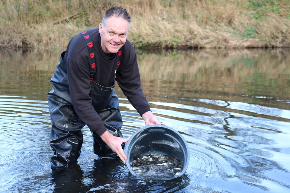 Image shows Paul Frear releasing fish into the Wear 