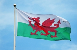 The Welsh flag