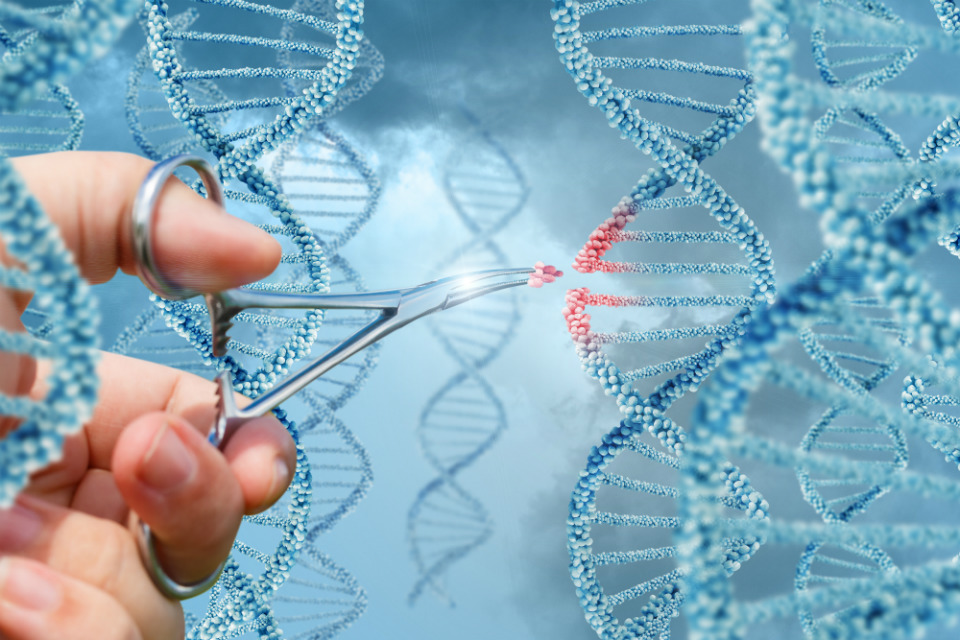 Illustration of DNA editing.
