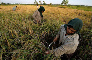 Building a sustainable economic future in Burma. Picture: Piers Benatar/ DFID.