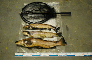 Two men have been fined £420 each for poaching and using illegal fishing equipment in County Durham.