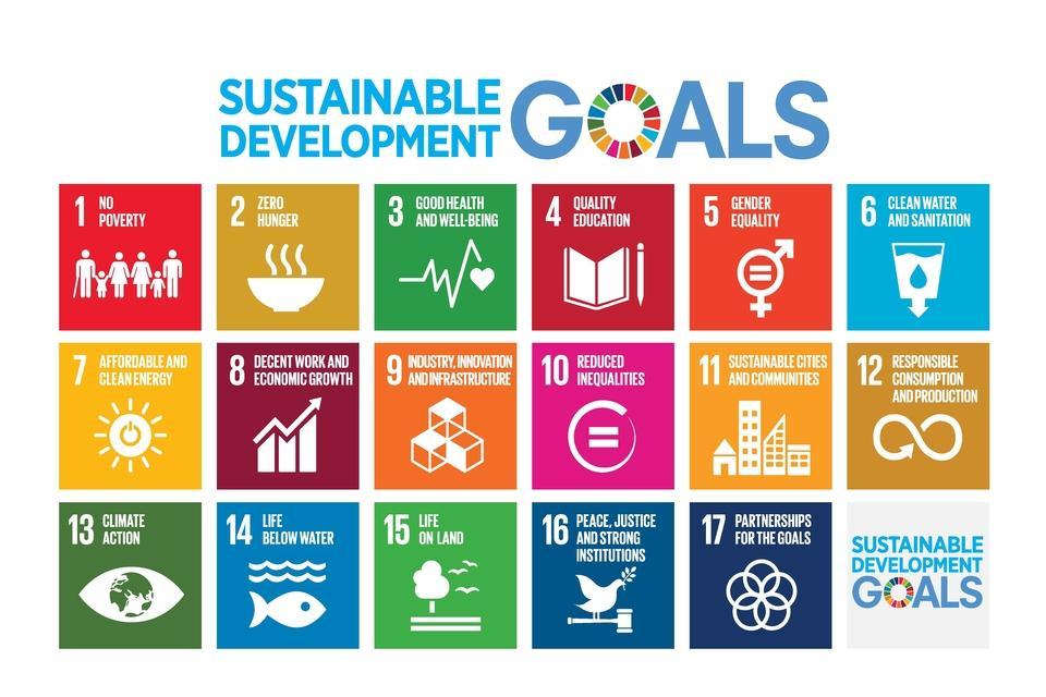 Implementing the Sustainable Development Goals