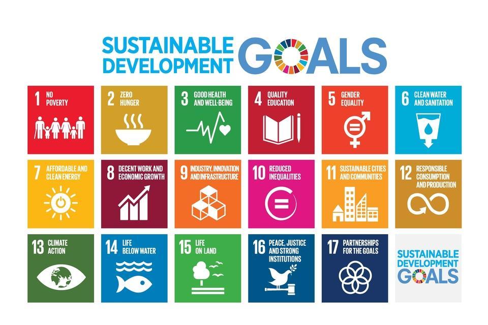 What Are Sustainable Development Goals