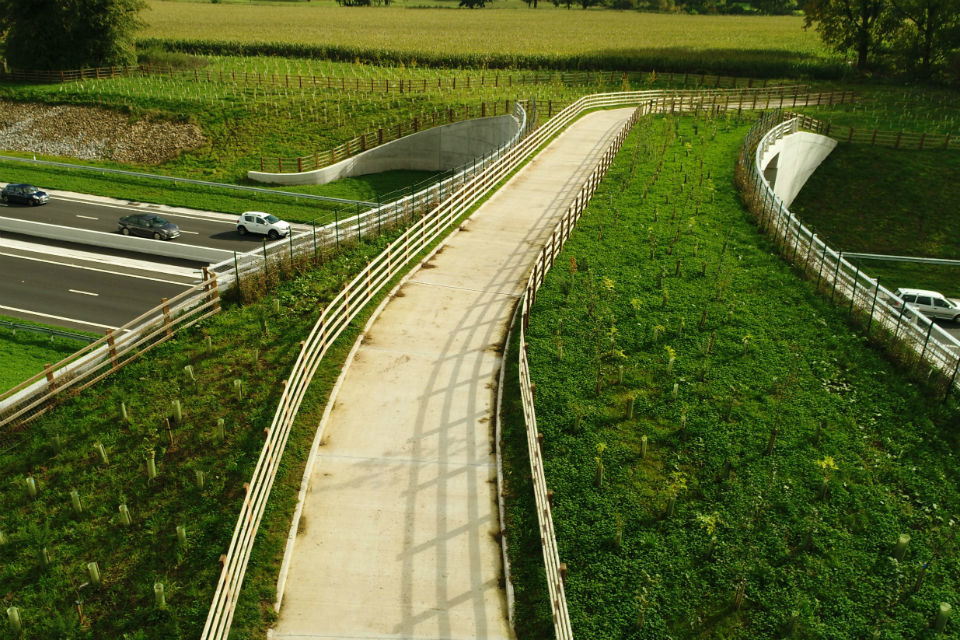 A556 'green bridge' is winter wonderland - GOV.UK