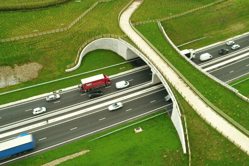 Image of green bridge over the A556 in Cheshire