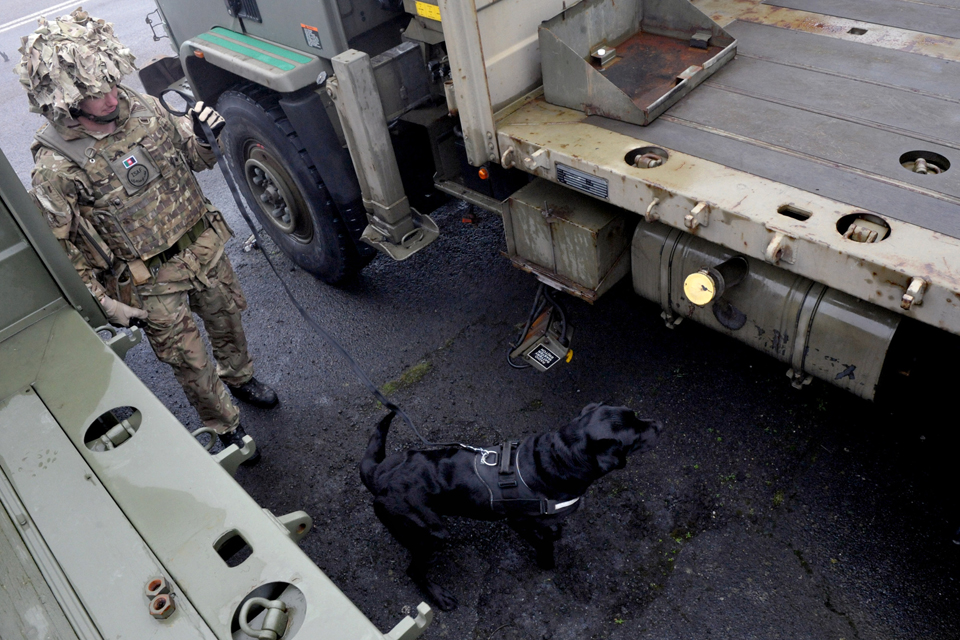 A British Army military working dog and his handler demonstrate a vehicle search