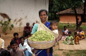 A good harvest of vegetable soybeans.