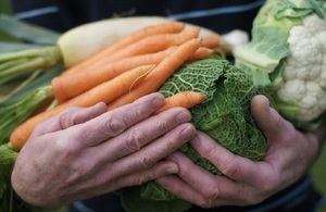 Farmer holding vegetables