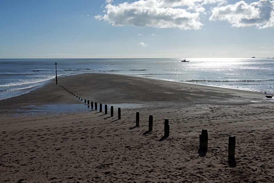 Devon dredging and disposal licence suspended - GOV.UK