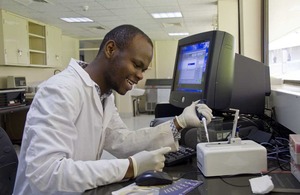 An MSc student at Kenyatta University (a university participating in the DRUSSA programme). Geoffrey Mugambi works with ICRISAT-Nairobi on the use of molecular markers in agriculture to help breeding programs, 2010. Picture: Swathi Sridharan/ ICRISAT