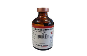 Oxytobel 10 IU/ml Solution for Injection for Horses, Cattle, Pigs, Sheep, Goats, Dogs and Cats