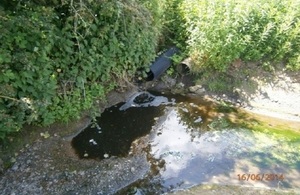 Image of the original pollution incident