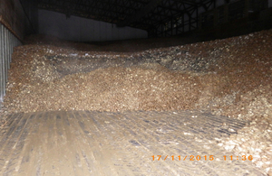 Rotting potato pile in warehouse