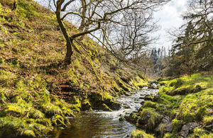 The River Goyt