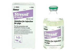 Stresnil 40 mg/ml Solution for Injection for Pigs