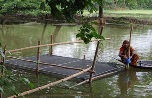 Aquaculture in the Ganges, another area of CPWF research. Picture: CPWF