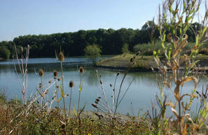 Image of reservoir with plants