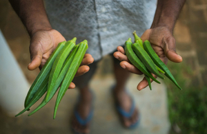 Crops grown during the SCORRES Project