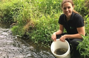 Image shows Jess Anson from Kielder Salmon Centre releasing fish into the River Team