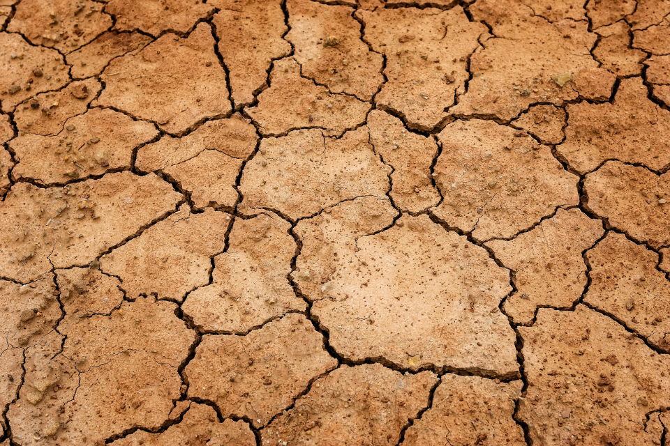 Environment Agency responds to impacts of dry weather GOV.UK