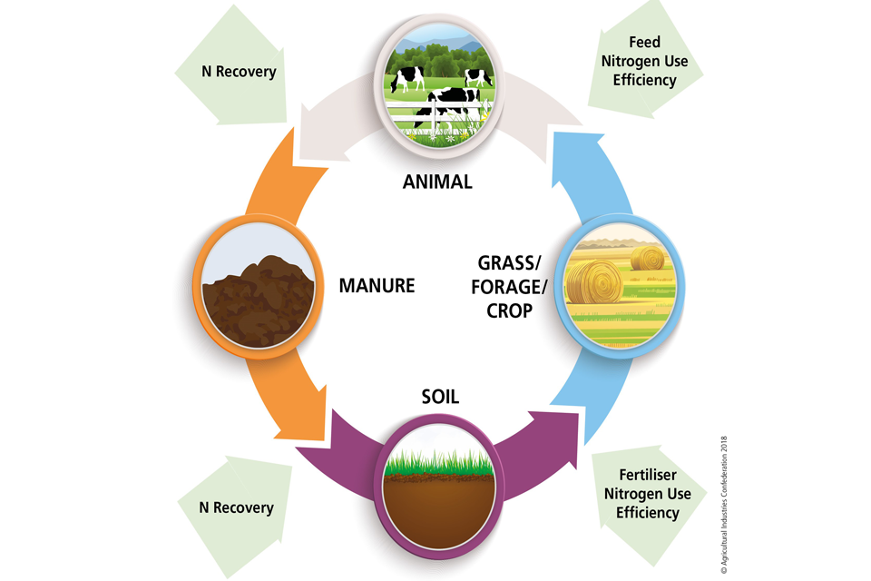 Figure 2: The nutrient loop. Nitrogen needs to be preserved at each stage of the farming process.