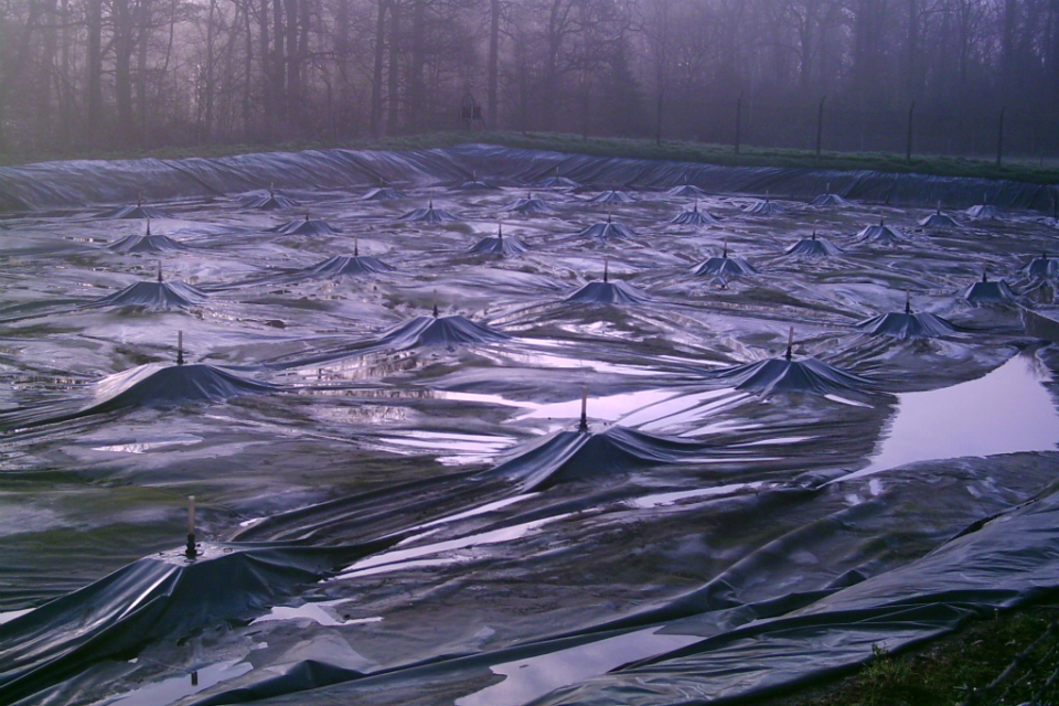 Figure 5: A floating plastic cover on an earth-banked slurry lagoon.