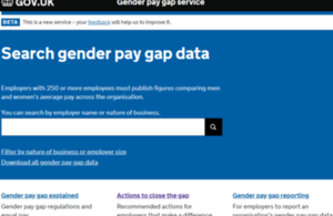 Gender pay gap website screen shot